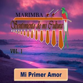 Download track Mi Primer Amor Marimba Sentimiento De Mi Cultura