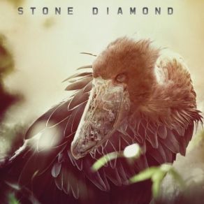 Download track Titanic Diamond Stone