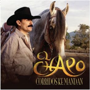 Download track Quisieron Tumbar Al Jefe El Chapo De Sinaloa