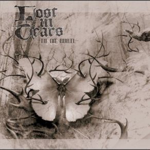 Download track Metamorphosis L. H. Sjöblom, Lost In Tears