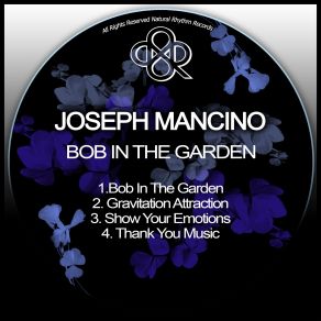 Download track Gravitational Attraction Joseph Mancino