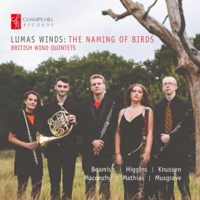 Download track Wind Quintet II. Poco Lento Lumas Winds