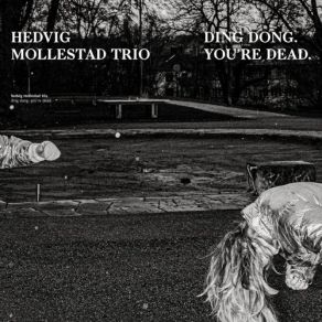 Download track All Flights Cancelled Hedvig Mollestad Trio