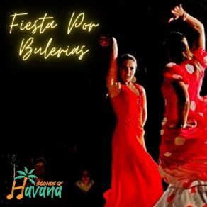 Download track Yo A Ti Te Quiero Sounds Of Havana