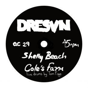 Download track Shelly Beach Dresvn