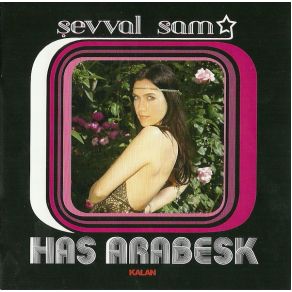 Download track Bana Sor Şevval Sam