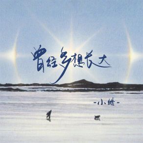 Download track 曾经多想长大 (伴奏) 小皓