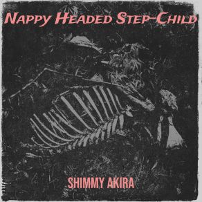 Download track Intro Shimmy Akira