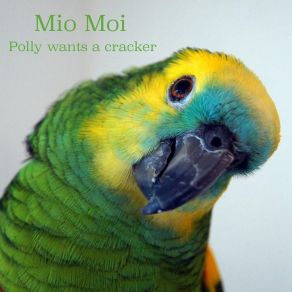 Download track Polly Wants A Cracker Mio Moi