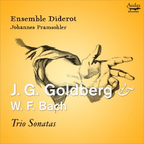 Download track Trio Sonata In B-Flat Major: IV. Ciacona Johannes Pramsohler, Ensemble Diderot