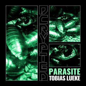 Download track Rude (Original Mix) Tobias Lueke