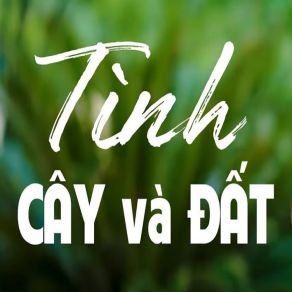 Download track Tiền Giang Quê Tôi - Short Version 2 Son Ha