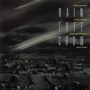 Download track New Moon At Red Deer Wallow Rain Tree Crow