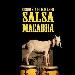 Download track La Noche Orquesta El Macabeo