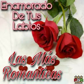 Download track Fuego Y Cenizas Los Latinos Románticos