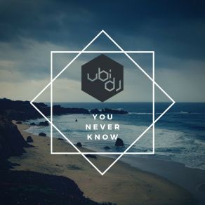 Download track You Never Know (Radio Edit) Ubi DJ