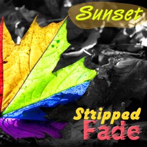 Download track Sunset Island (Eddie Lung Remix) Alex Shevchenko