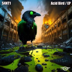 Download track Acid Bird S4NT1