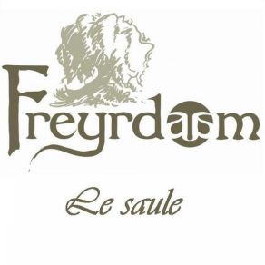 Download track Freyrdaam - Le Clan - Demo Freyrdaam