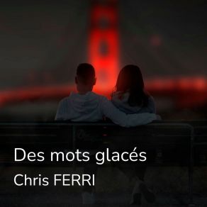 Download track Tu N't'aimes Plus Chris FERRI