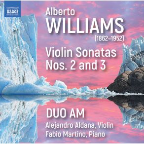 Download track Violin Sonata No. 3 In D Major, Op. 53 I. Allegro Non Troppo Duo AM