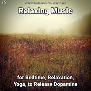 Download track Peaceful Music Part 86 Relaxing Spa Music