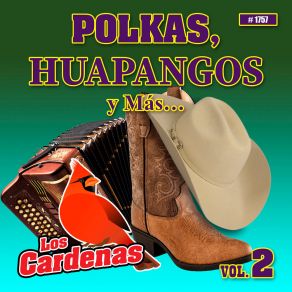 Download track Don Jorge Los Cárdenas