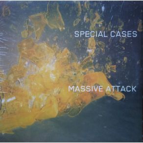 Download track Special Cases (Akufen Remix) Massive Attack