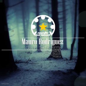 Download track Lost In The Forest (Original Mix) Mauro Rodriguez