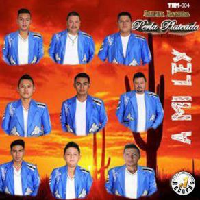 Download track El Ruco Super Banda Perla Plateada