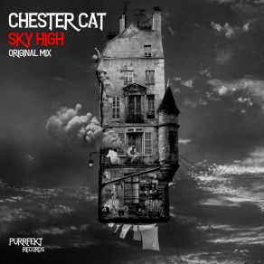 Download track Sky High (Extended Mix) Chester Cat