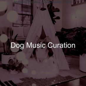 Download track Excellent Solo Piano Jazz - Vibe For Doggy Training Dog Music Curation