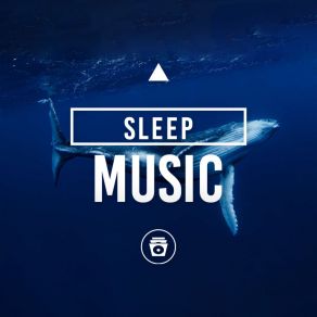 Download track Haunting Ocean Deep Whale Sounds