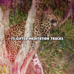 Download track Restful Massage Spa Music Natural White Noise Sound Therapy