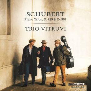 Download track Piano Trio No. 2 In E-Flat Major, Op. 100, D. 929: II. Andante Con Moto Trio Vitruvi