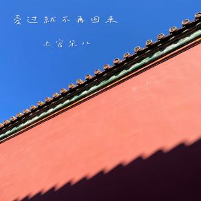 Download track 爱过就不再回来 (伴奏) 上官朵儿