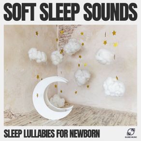 Download track Calm Sleep Music Sleep Lullabies For Newborn