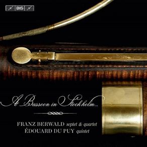 Download track 8. Franz Berwald: Quartet In E Flat Major - II. Adagio Teunis Van Der Zwart, Donna Agrell, Lorenzo Coppola