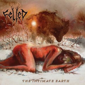 Download track Fire Season On The Outer Rim Felled