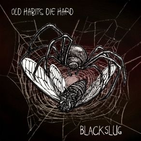 Download track Hole In The Sun Blackslug