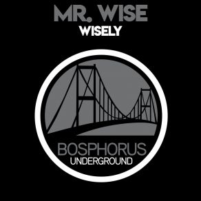 Download track Brute (Original Mix) Mr Wise