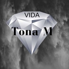 Download track No Hay Otro Tona M