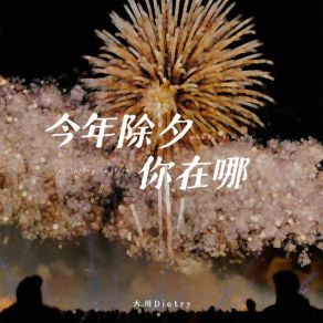 Download track 今年除夕你在哪 (伴奏) 大川Dietry