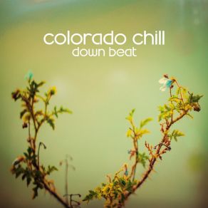 Download track Monday Blue (Sky Export) Colorado Chill