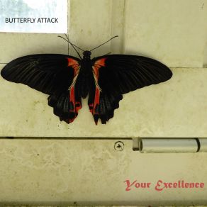 Download track Your Excellence Butterfly Attack