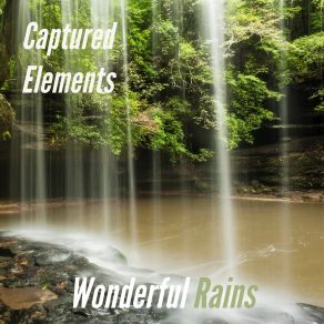 Download track 25 Minutes Of Wonderful Rain Captured Elements