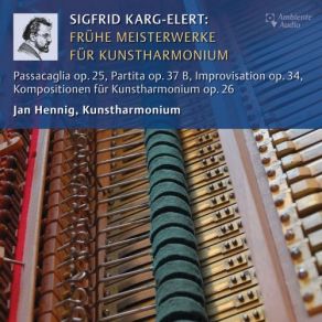 Download track Improvisation In E Major, Op. 34 Jan Hennig