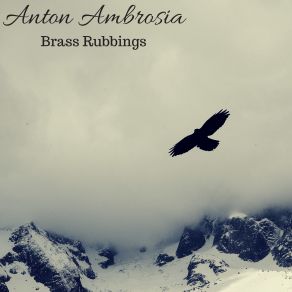 Download track Select One Option Anton Ambrosia