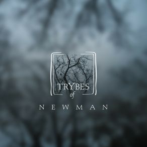 Download track The Stars In Your Eyes Newman