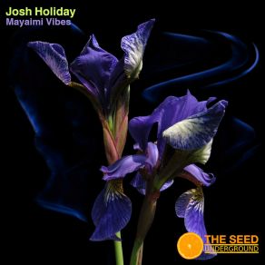 Download track Mayaimi Vibes Josh Holiday